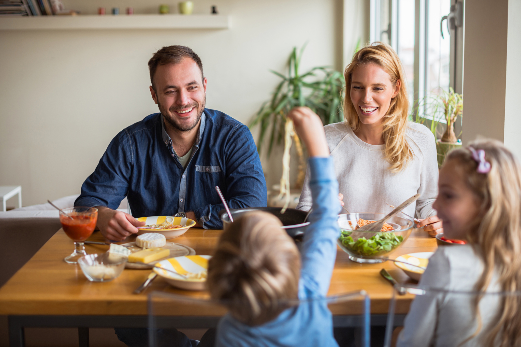 functions of the family